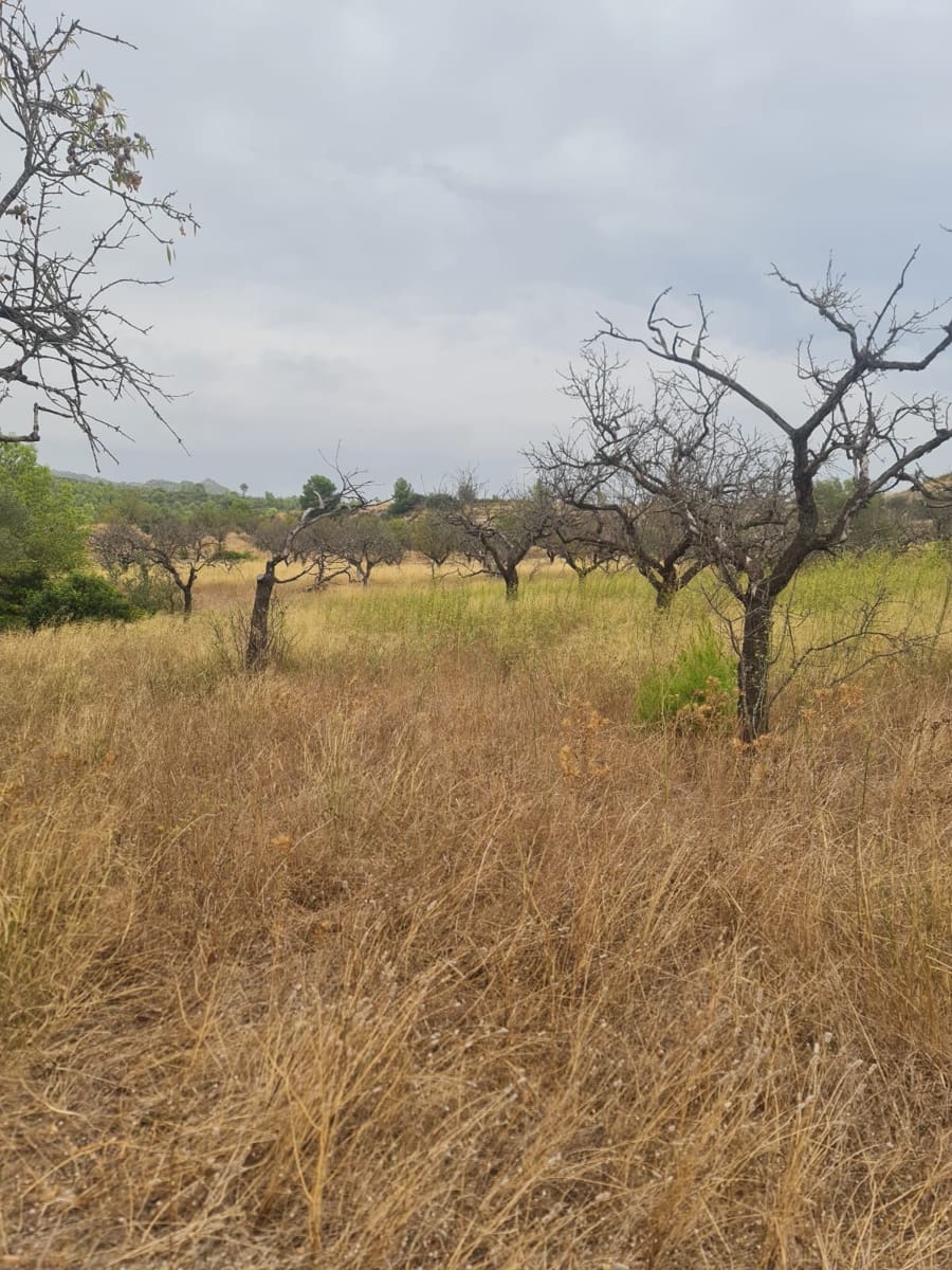 Finca/Landehus til salg i El Pinell de Brai - € 20.000 (Ref: 9216153)