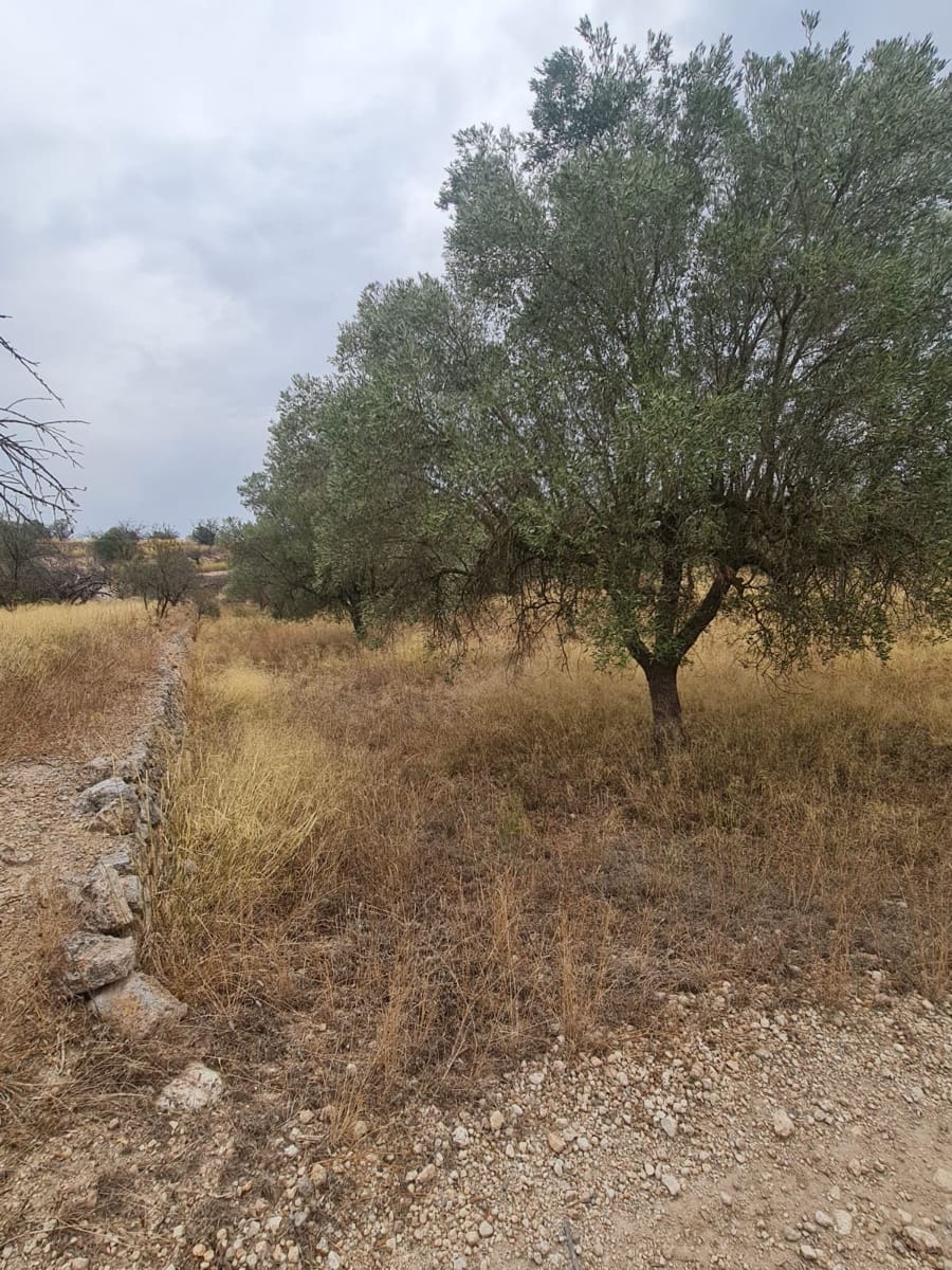 Finca/Landehus til salg i El Pinell de Brai - € 20.000 (Ref: 9216153)