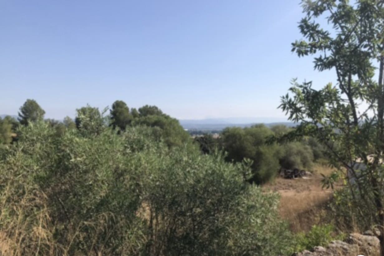 1 bedroom Finca/Country House for sale in Ginestar - € 49,000 (Ref: 9318101)