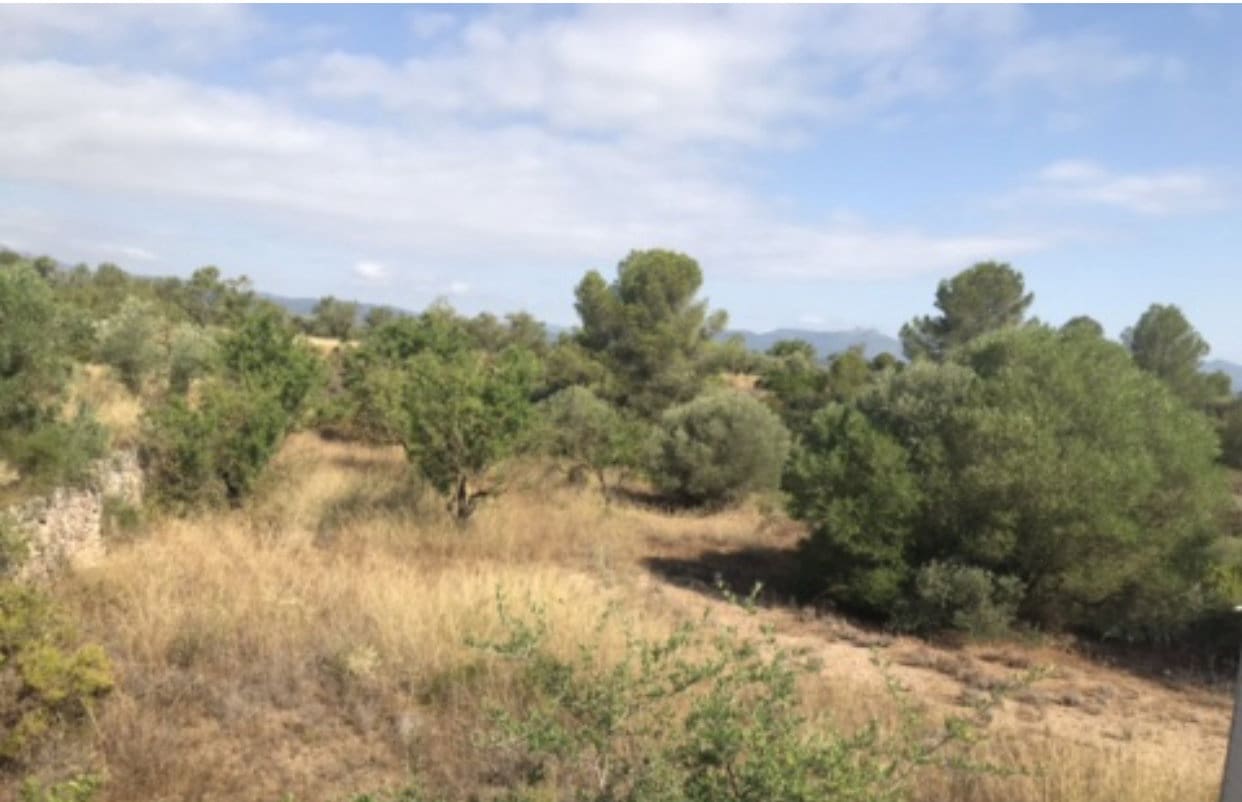 1 soverom Finca/Herregård til salgs i Ginestar - € 49 000 (Ref: 9318101)