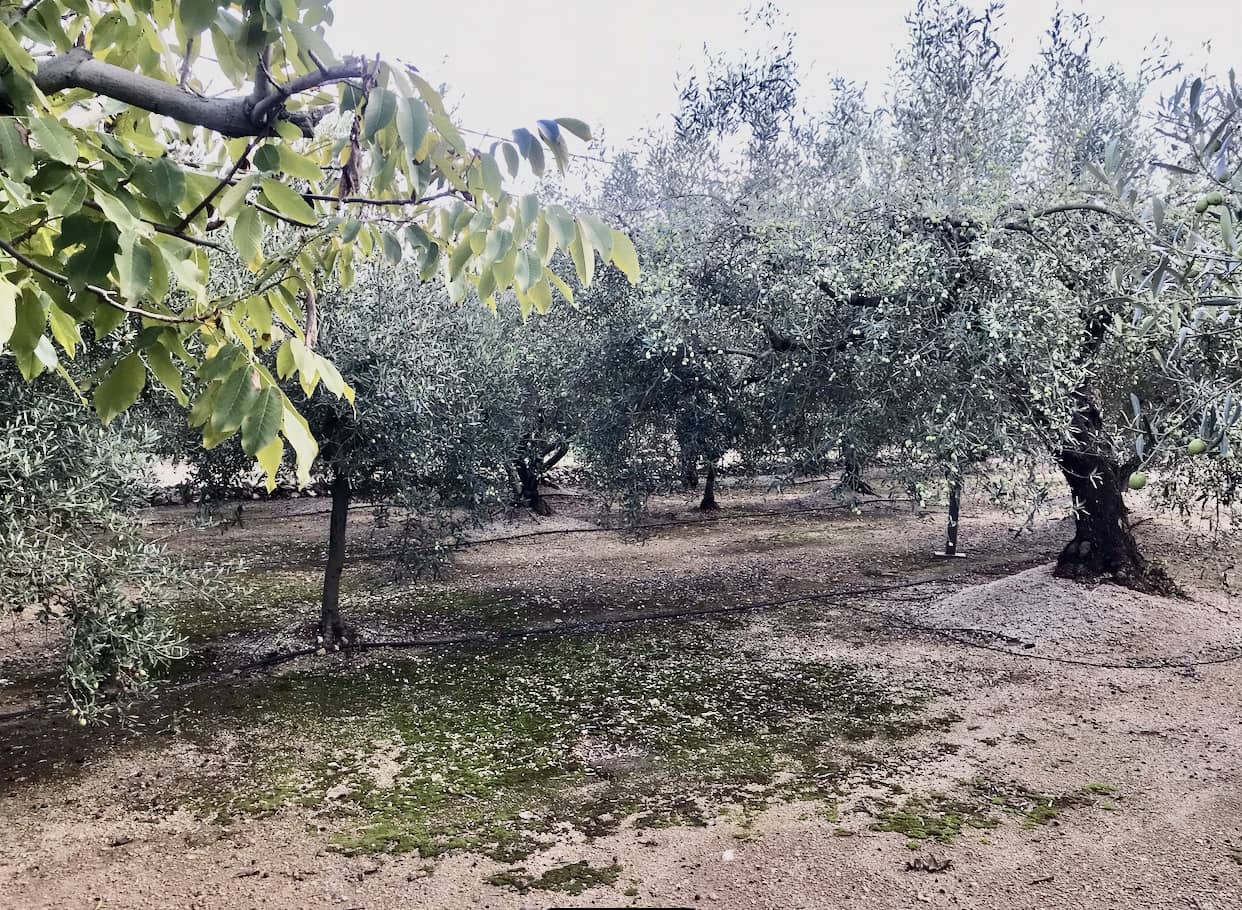 2 makuuhuone Maalaistalo myytävänä paikassa Tortosa - 107 000 € (Ref: 9368922)