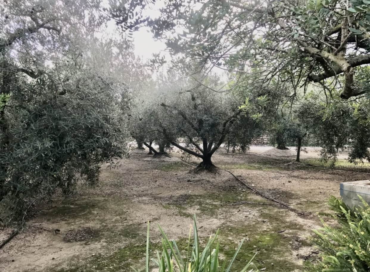 2 makuuhuone Maalaistalo myytävänä paikassa Tortosa - 107 000 € (Ref: 9368922)