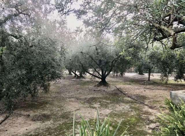 2 quarto Quinta/Casa Rural para venda em Tortosa - 107 000 € (Ref: 9368922)