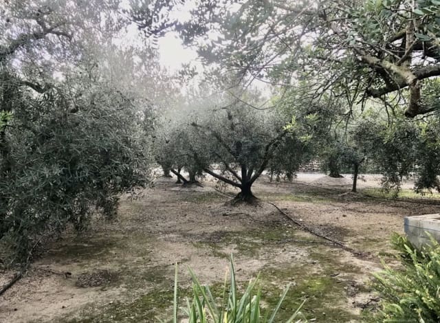 2 sovrum Finca/Hus på landet till salu i Tortosa - 107 000 € (Ref: 9368922)