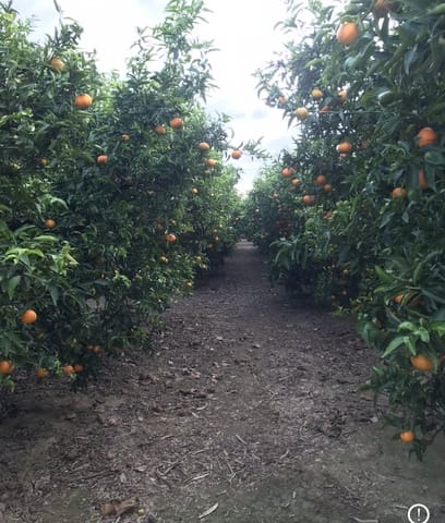 Finca/Maison de Campagne à vendre à Bitem, Tortosa - 48 000 € (Ref: 9369082)