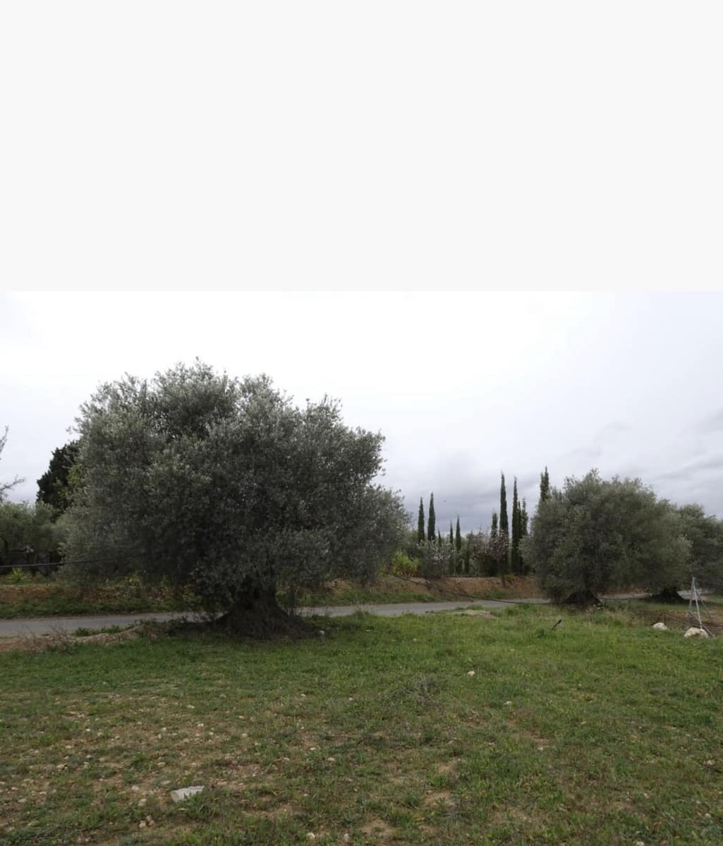 Finca/Landehus til salg i Mora la Nova - € 35.000 (Ref: 9369307)