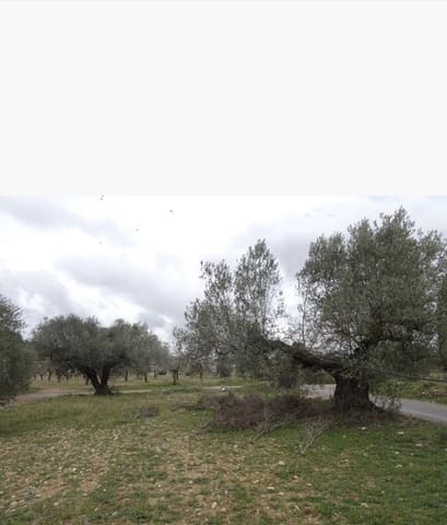 Finca/Landehus til salg i Móra la Nova - € 35.000 (Ref: 9369307)