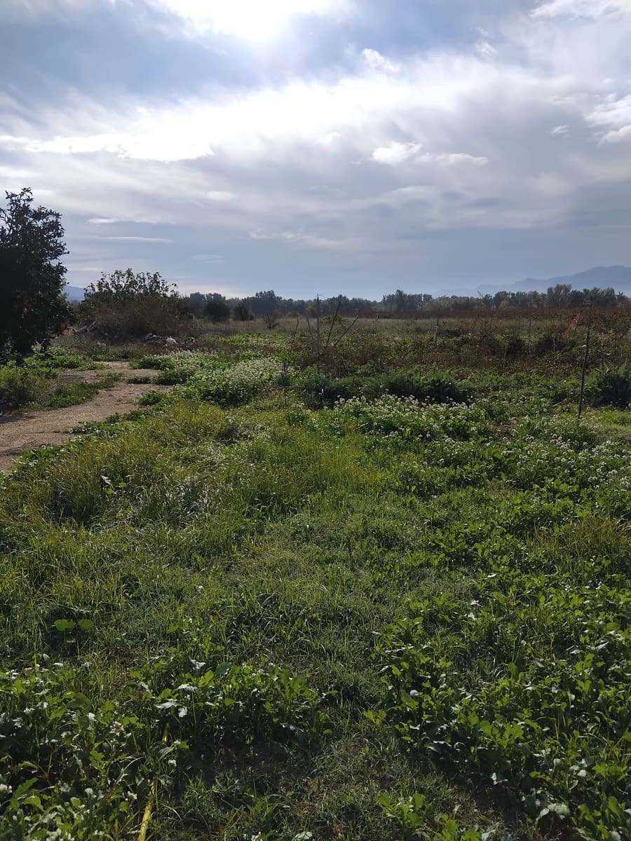 4 bedroom Finca/Country House for sale in Benissanet - € 185,000 (Ref: 9398153)