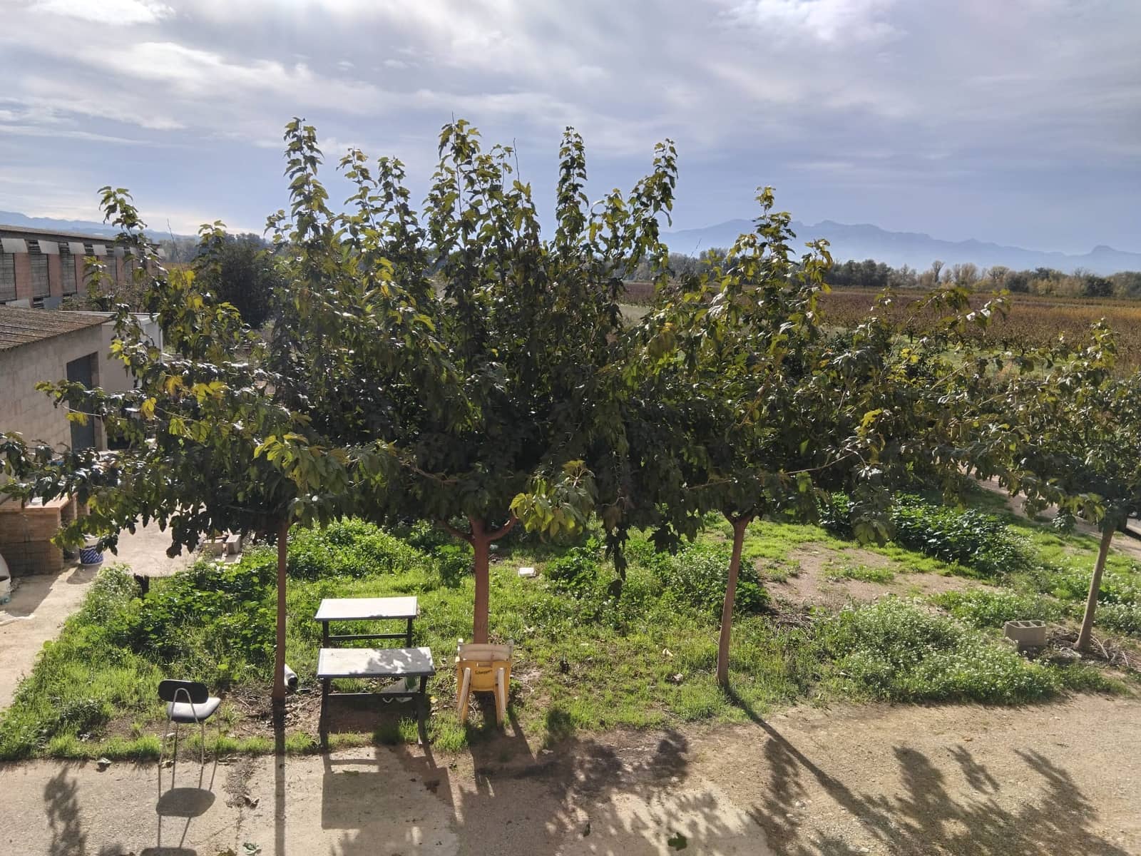 4 bedroom Finca/Country House for sale in Benissanet - € 185,000 (Ref: 9398153)