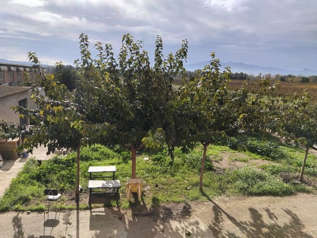 4 quarto Quinta/Casa Rural para venda em Benissanet com garagem - 185 000 € (Ref: 9398153)