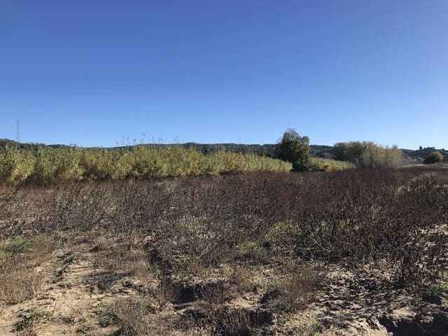 Finca/Herregård til salgs i Garcia - € 16 000 (Ref: 9425805)