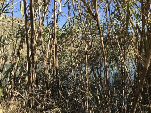 Finca/Herregård til salgs i Garcia - € 16 000 (Ref: 9425805)