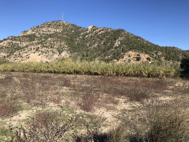 Finca/Herregård til salgs i Garcia - € 16 000 (Ref: 9425805)