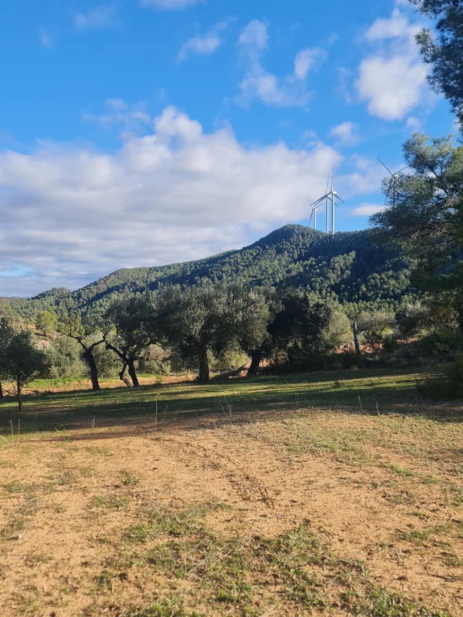 1 chambre Finca/Maison de Campagne à vendre à Asco - 29 000 € (Ref: 9426683)