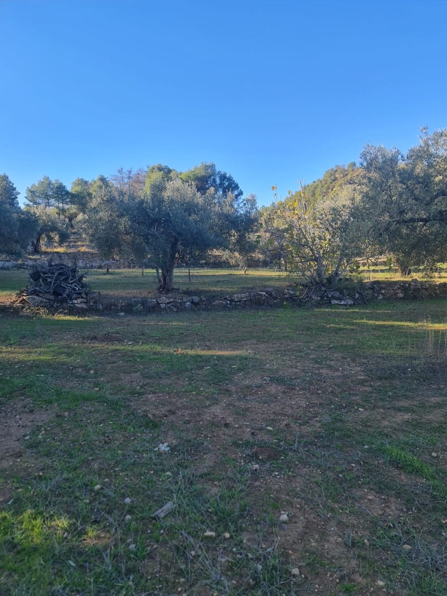 1 chambre Finca/Maison de Campagne à vendre à Asco - 29 000 € (Ref: 9426683)