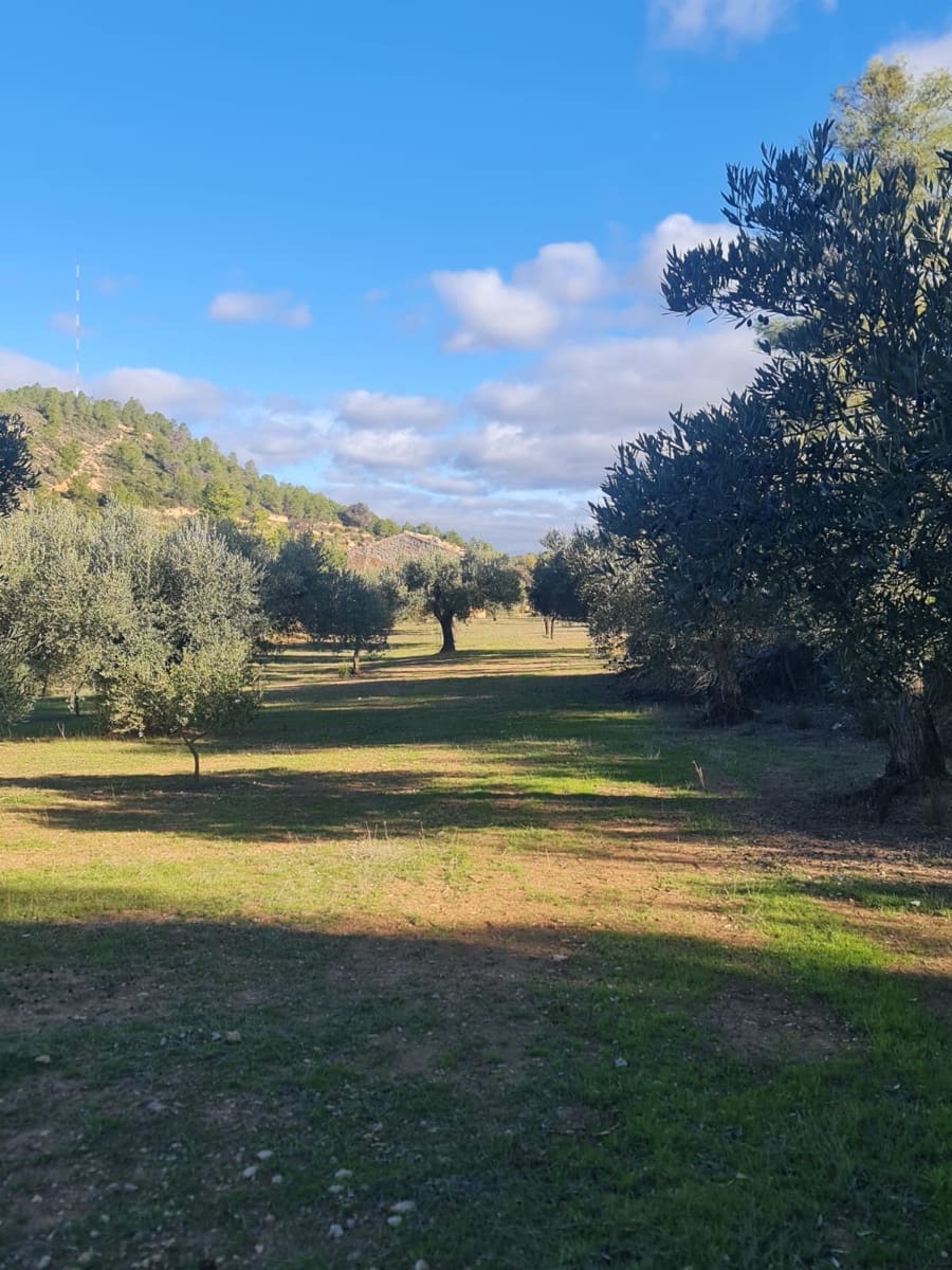 1 chambre Finca/Maison de Campagne à vendre à Asco - 29 000 € (Ref: 9426683)