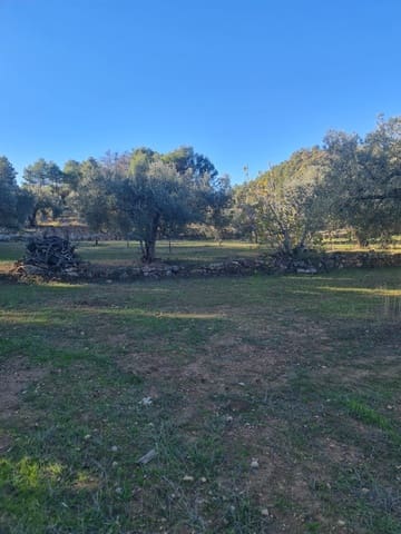 1 bedroom Finca/Country House for sale in Ascó - € 29,000 (Ref: 9426683)