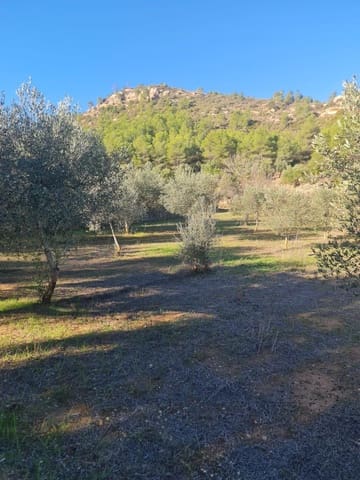 1 bedroom Finca/Country House for sale in Ascó - € 29,000 (Ref: 9426683)