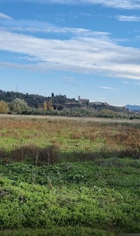 1 soveværelse Finca/Landehus til salg i Garcia - € 55.000 (Ref: 9429120)