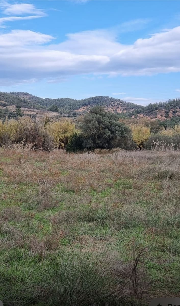 1 soveværelse Finca/Landehus til salg i Garcia - € 55.000 (Ref: 9429120)