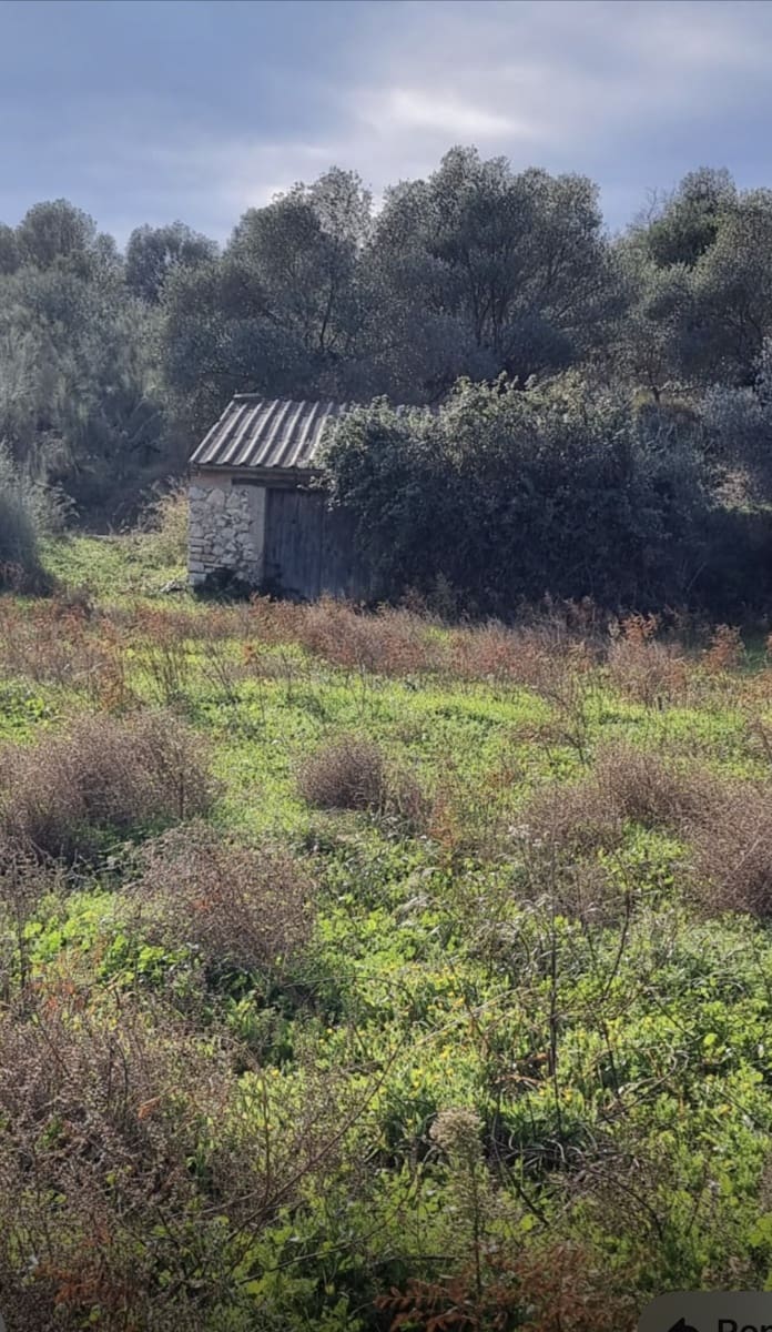 1 soveværelse Finca/Landehus til salg i Garcia - € 55.000 (Ref: 9429120)