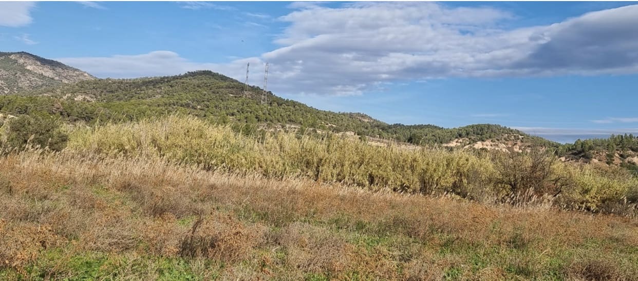 1 soveværelse Finca/Landehus til salg i Garcia - € 55.000 (Ref: 9429120)