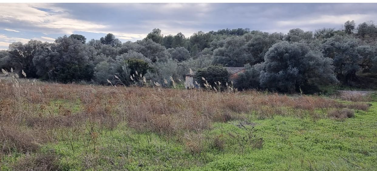 1 soveværelse Finca/Landehus til salg i Garcia - € 55.000 (Ref: 9429120)