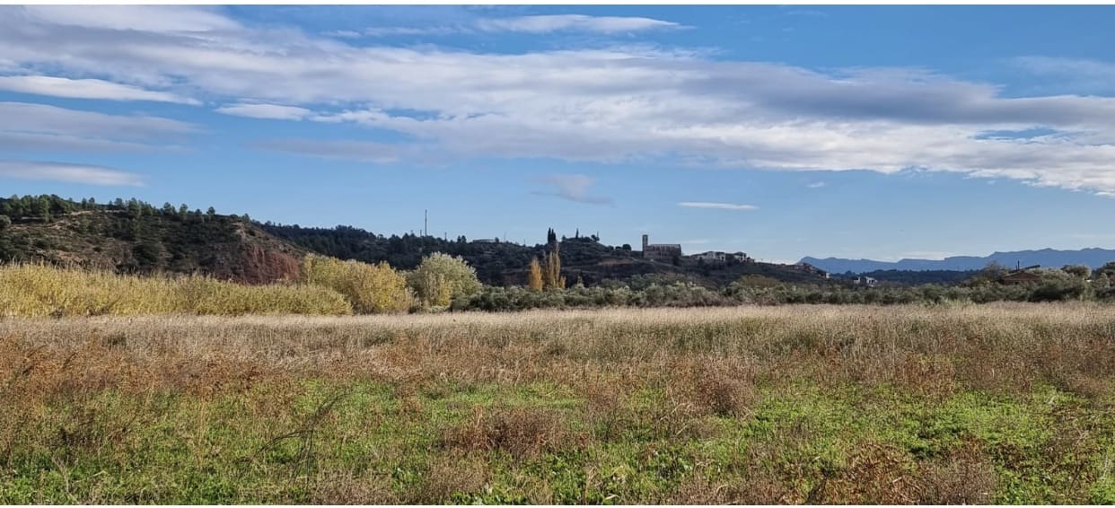 1 soveværelse Finca/Landehus til salg i Garcia - € 55.000 (Ref: 9429120)