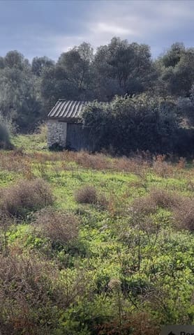 1 soveværelse Finca/Landehus til salg i Garcia - € 55.000 (Ref: 9429120)