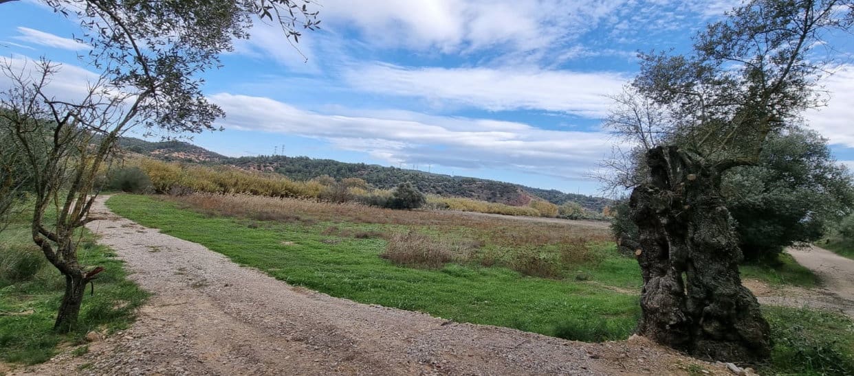 1 soverom Finca/Herregård til salgs i Garcia - € 55 000 (Ref: 9429120)