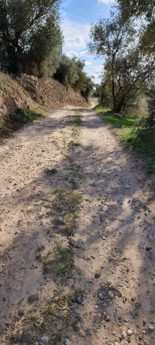 Finca/Herregård til salgs i Garcia - € 15 000 (Ref: 9441638)