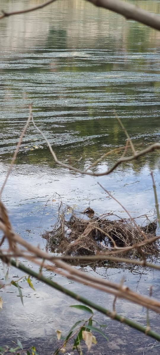 Finca/Herregård til salgs i Garcia - € 15 000 (Ref: 9441638)