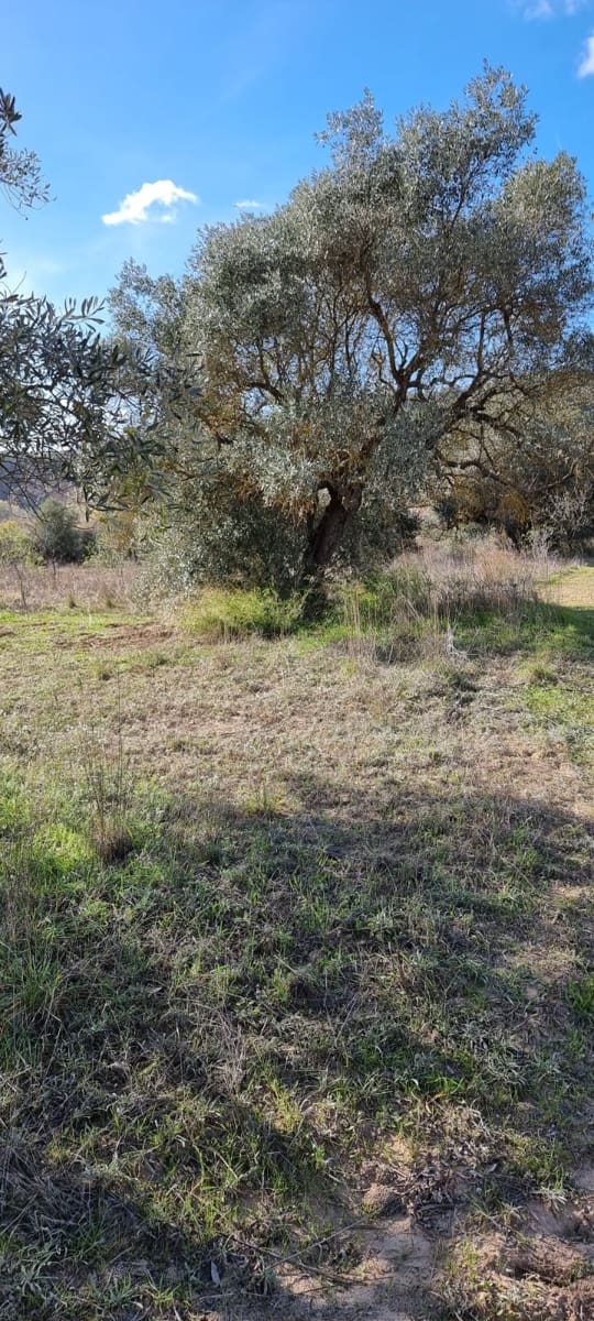 Finca/Herregård til salgs i Garcia - € 15 000 (Ref: 9441638)