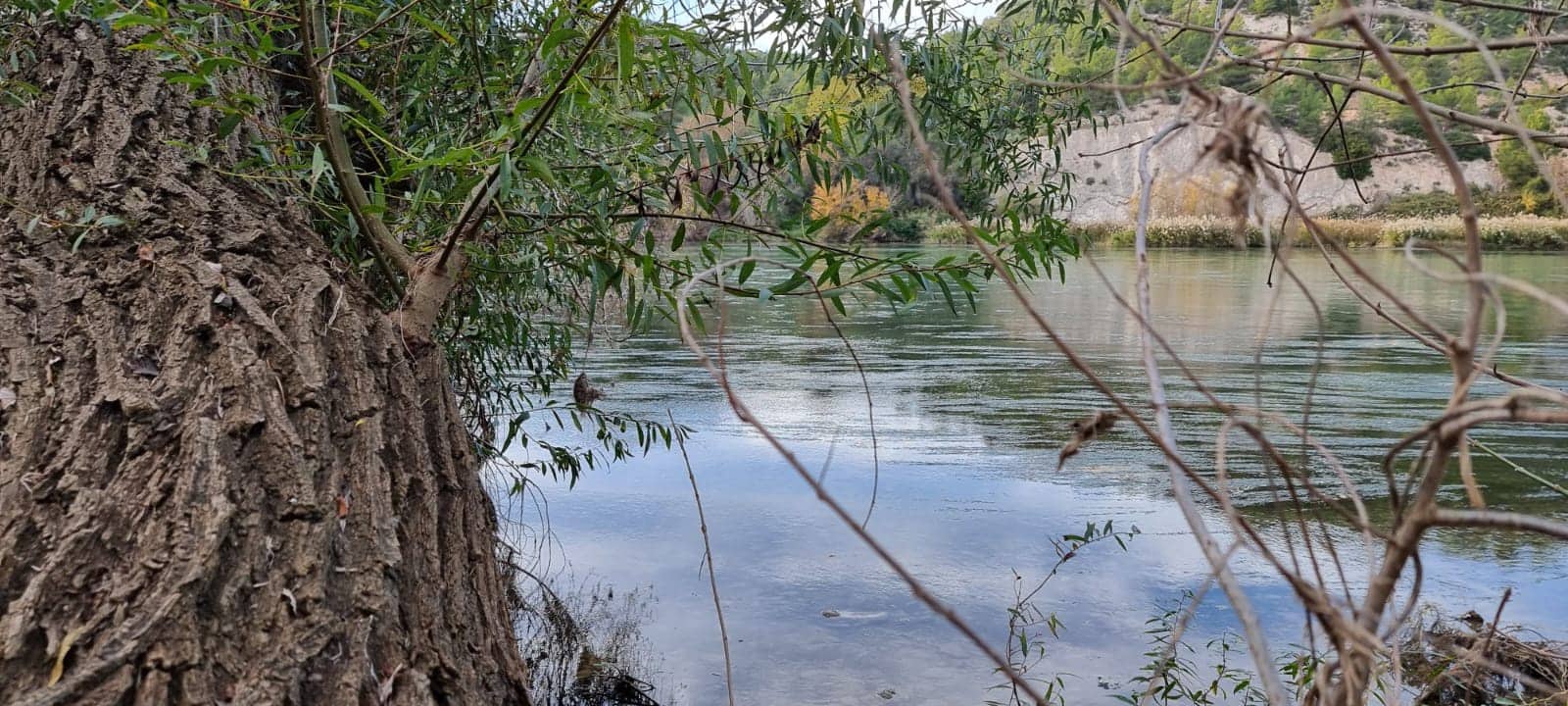 Finca/Herregård til salgs i Garcia - € 15 000 (Ref: 9441638)