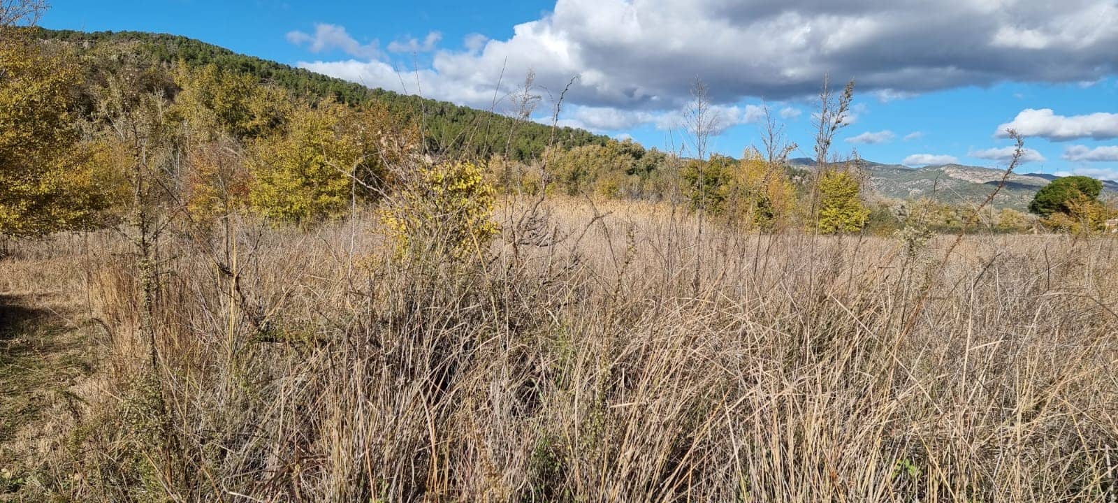 Finca/Herregård til salgs i Garcia - € 15 000 (Ref: 9441638)