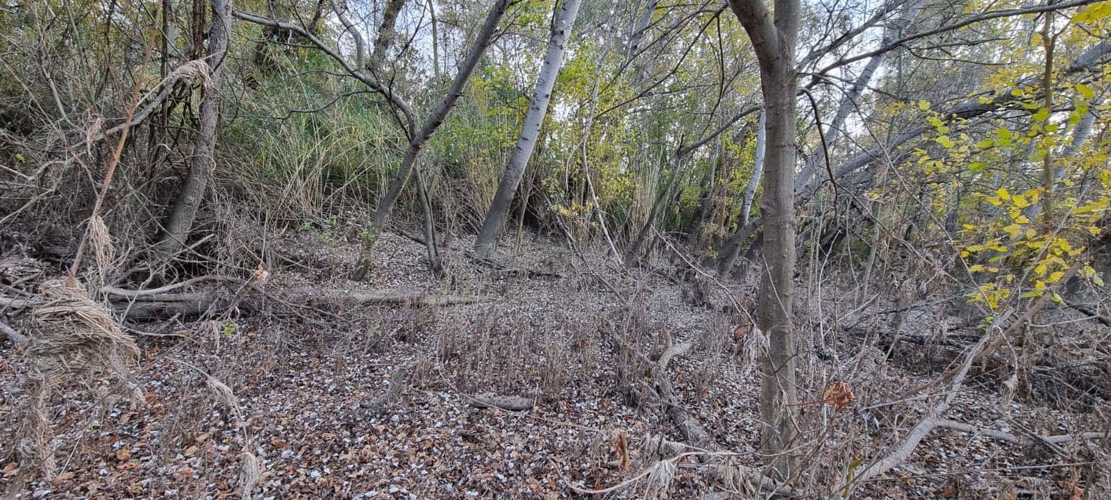 Finca/Herregård til salgs i Garcia - € 15 000 (Ref: 9441638)