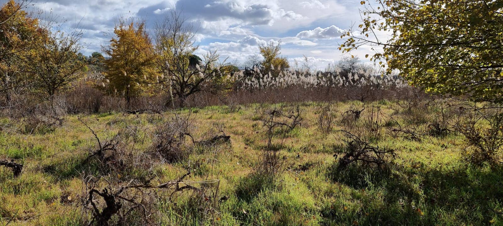 Finca/Herregård til salgs i Garcia - € 15 000 (Ref: 9441638)