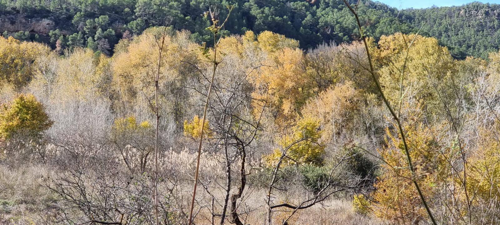 Finca/Herregård til salgs i Garcia - € 15 000 (Ref: 9441638)