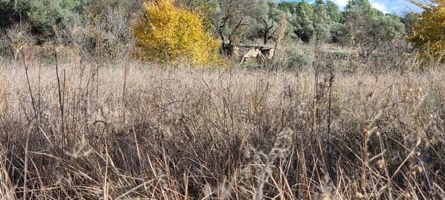 Finca/Herregård til salgs i Garcia - € 15 000 (Ref: 9441638)