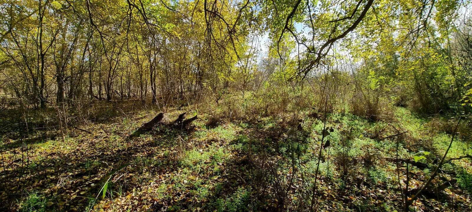 Finca/Herregård til salgs i Garcia - € 15 000 (Ref: 9441638)