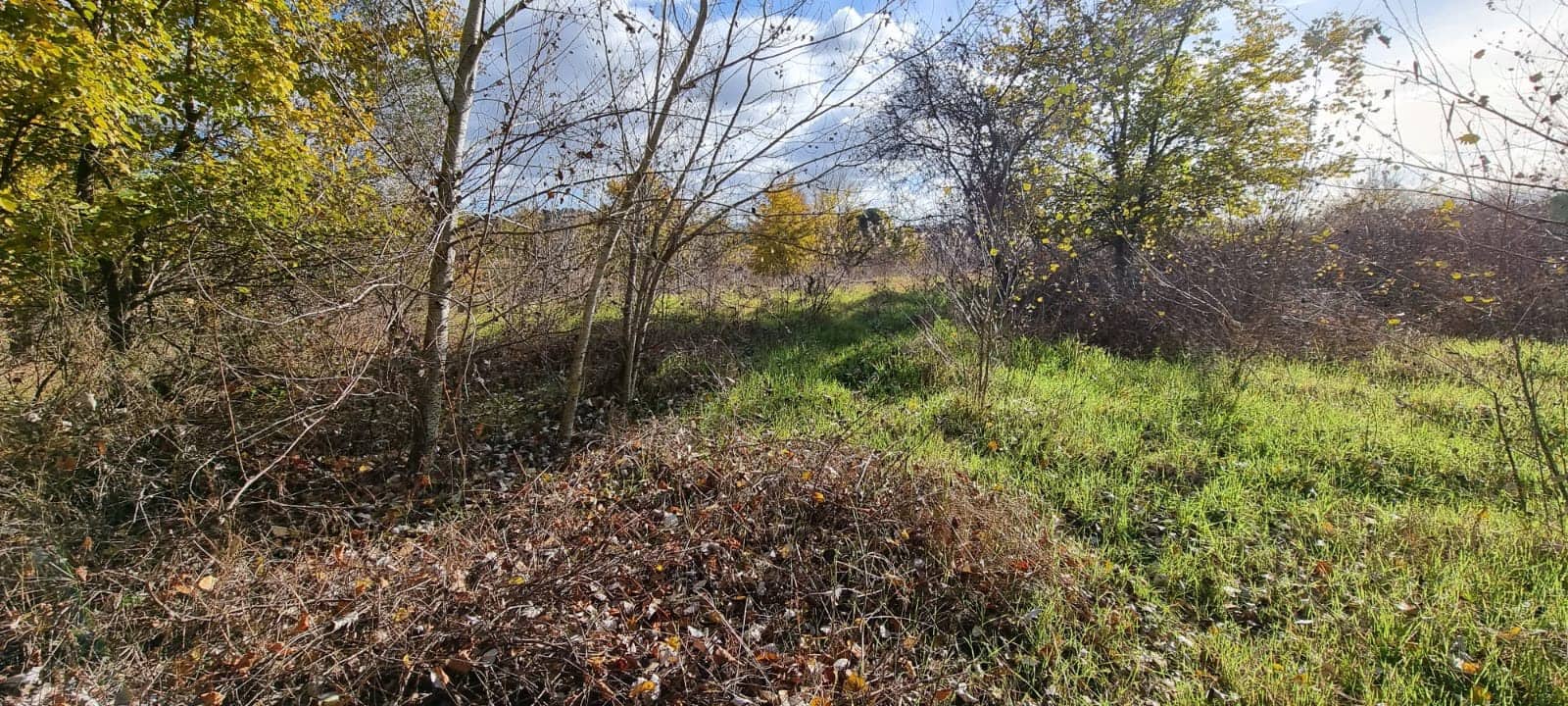 Finca/Herregård til salgs i Garcia - € 15 000 (Ref: 9441638)