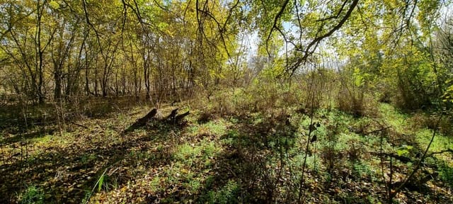 Finca/Herregård til salgs i Garcia - € 15 000 (Ref: 9441638)