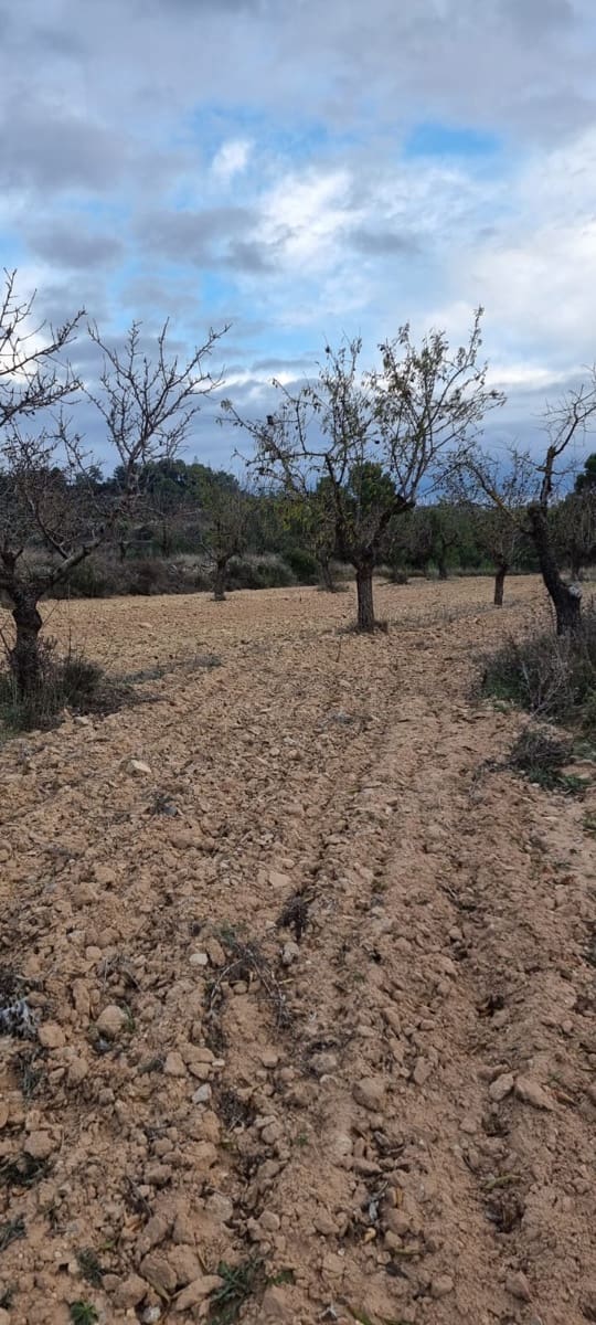 Finca/Country House for sale in Caseres - € 7,000 (Ref: 9498030)