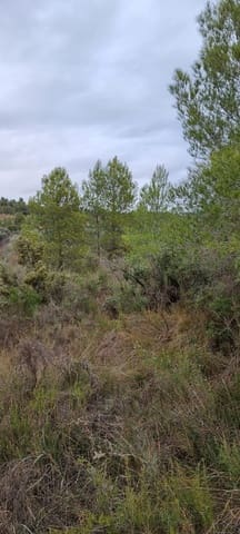 Quinta/Casa Rural para venda em Caseres - 7 000 € (Ref: 9498030)