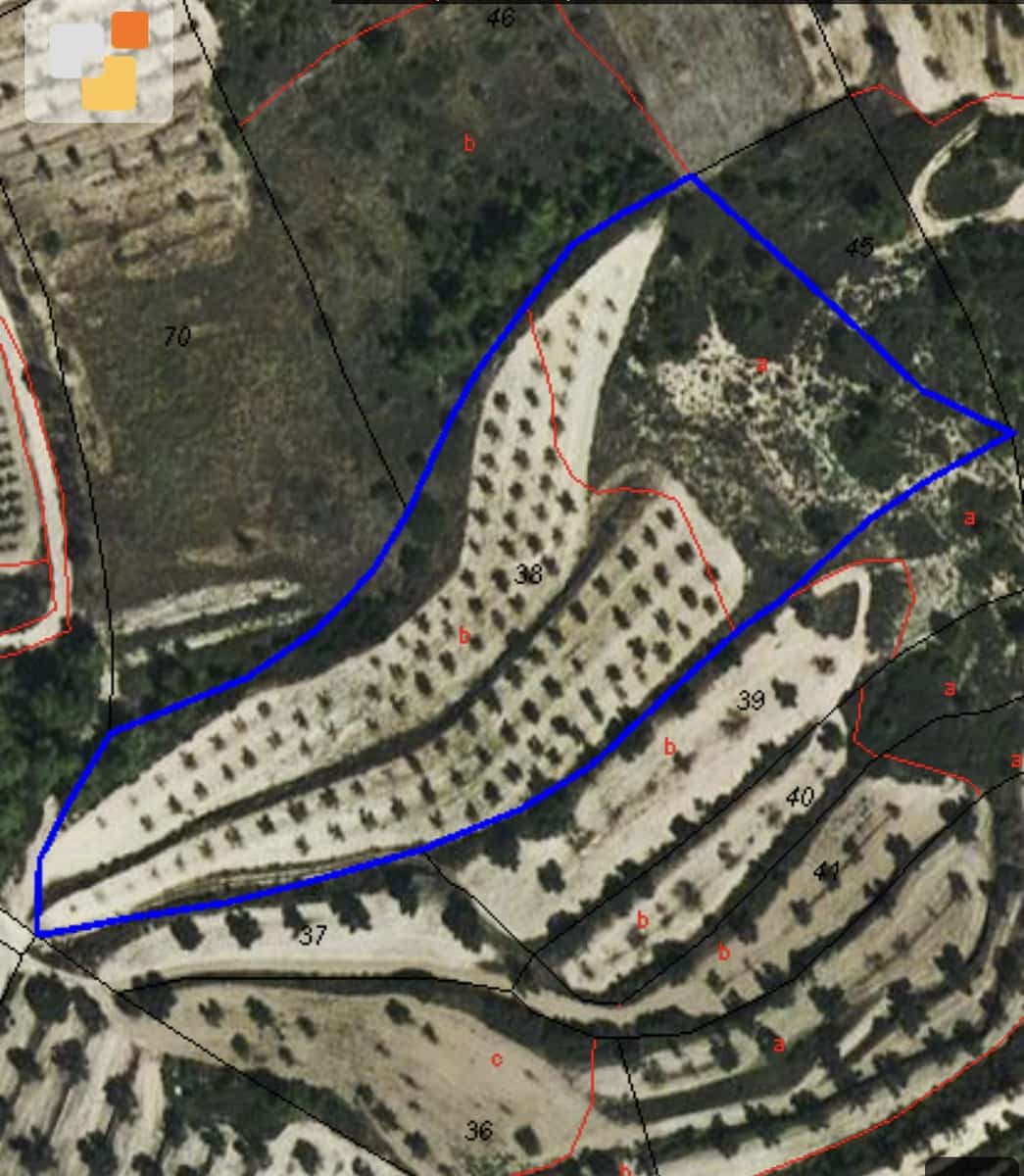 Finca/Country House for sale in Caseres - € 7,000 (Ref: 9498030)