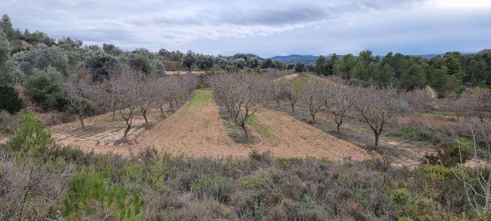 Finca/Country House for sale in Caseres - € 7,000 (Ref: 9498030)