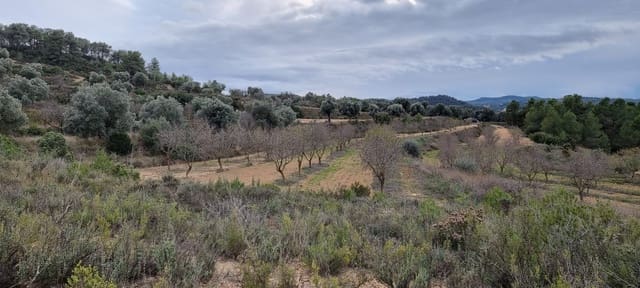 Quinta/Casa Rural para venda em Caseres - 7 000 € (Ref: 9498030)