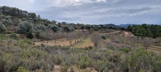 Finca/Landhuis te koop in Caseres - € 7.000 (Ref: 9498030)