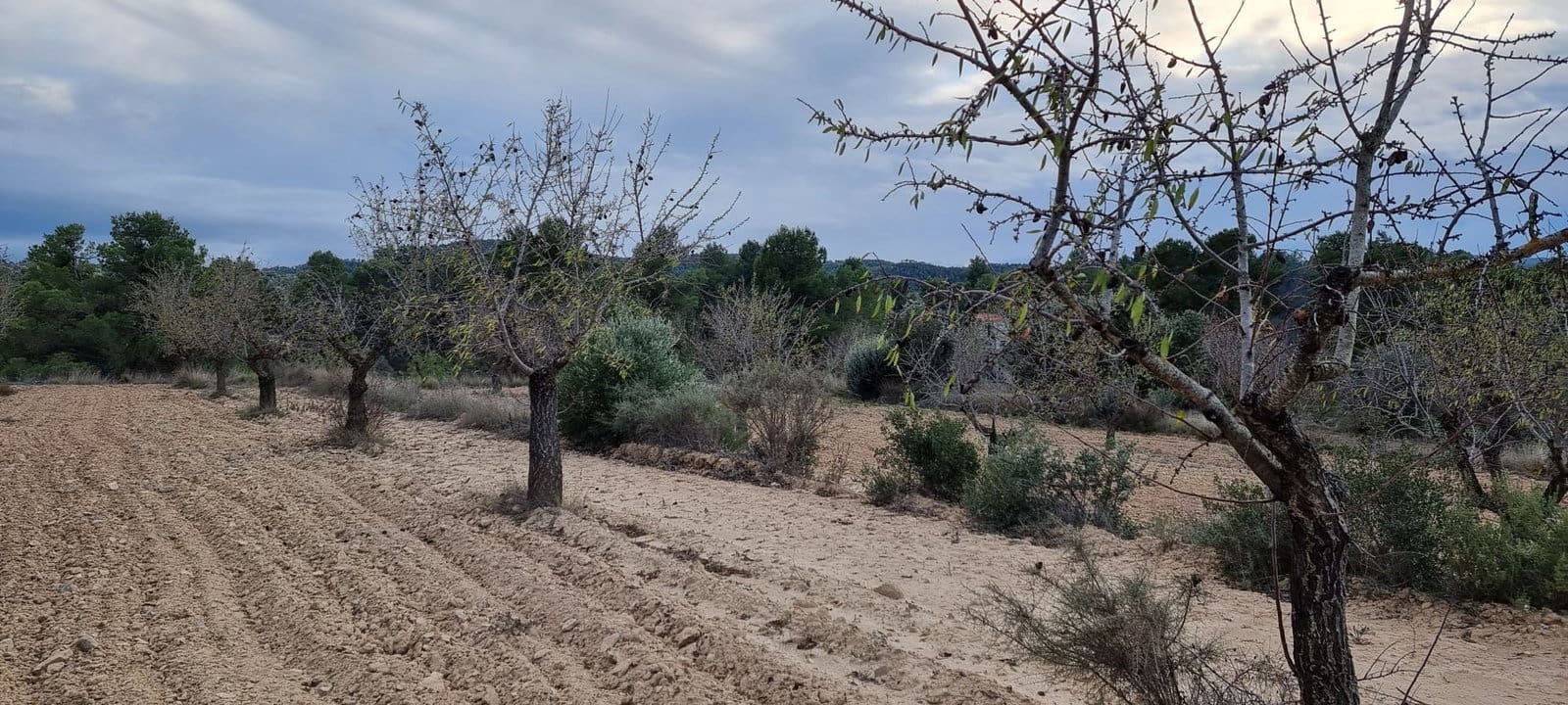 Finca/Country House for sale in Caseres - € 7,000 (Ref: 9498030)