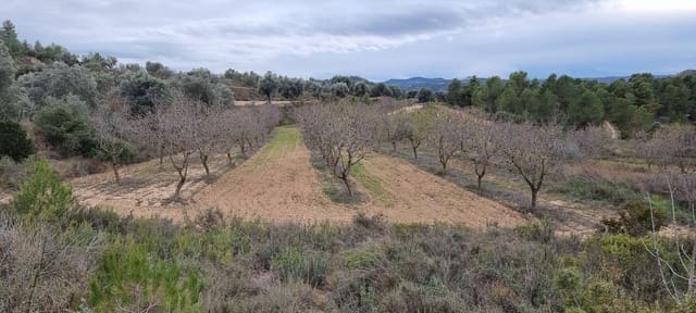 Finca/Landhuis te koop in Caseres - € 7.000 (Ref: 9498030)